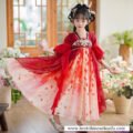 2005-summer-chinese-style-girls-hanfu-dress-main-photo-2