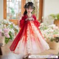 2005-summer-chinese-style-girls-hanfu-dress-main-photo-3