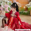2005-summer-chinese-style-girls-hanfu-dress-main-photo-5