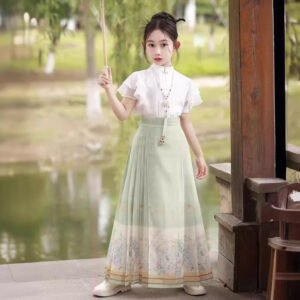 Chinese Style Short-Sleeve Tang Dynasty Ma Mian Skirt