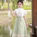 chinese-style-tang-dynasty-ma-mian-skirt-main-photo5