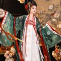 new-arrival-tang-dynasty-printed-embroidered-hanfu-main-photo-2