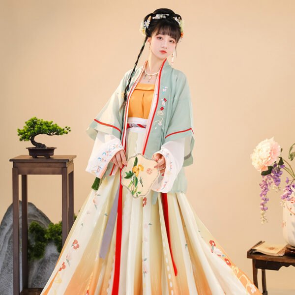 song-dynasty-Inspired-hanfu-dress-for-women-main-photo-2
