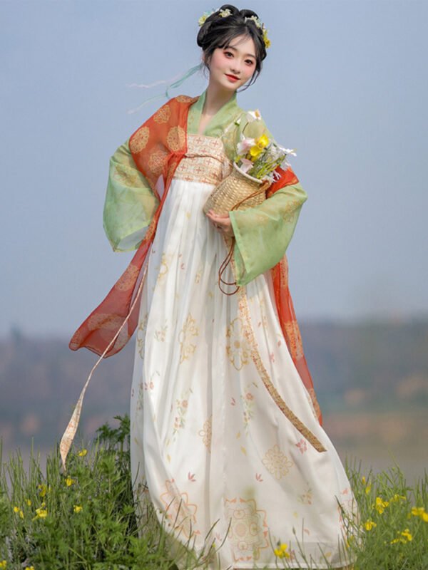 Tang Dynasty new women's Hanfu