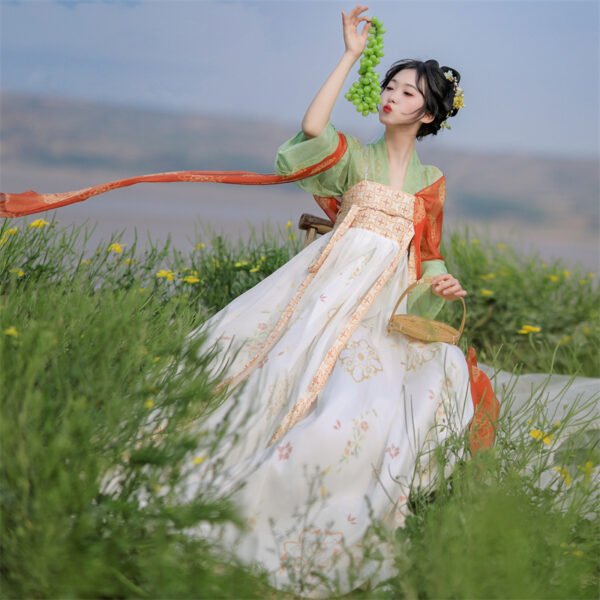 Tang Dynasty new women's Hanfu