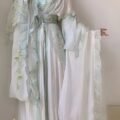 2025-wei-jin-dynasty-women-hanfu-set-main-photo-4