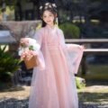 Daily Chinese-style Pink Princess Dress