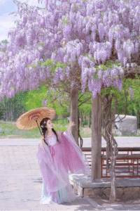 Hanfu Outfits