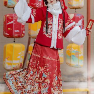 Women's Ming Dynasty Style Winter Hanfu Set