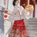 Women's Ming Dynasty Style Winter Hanfu Set