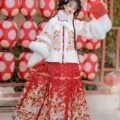 Women's Ming Dynasty Style Winter Hanfu Set