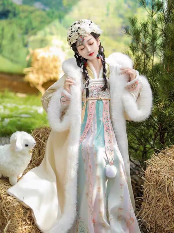 Women Tang Dynasty Thickened Ruqun Set