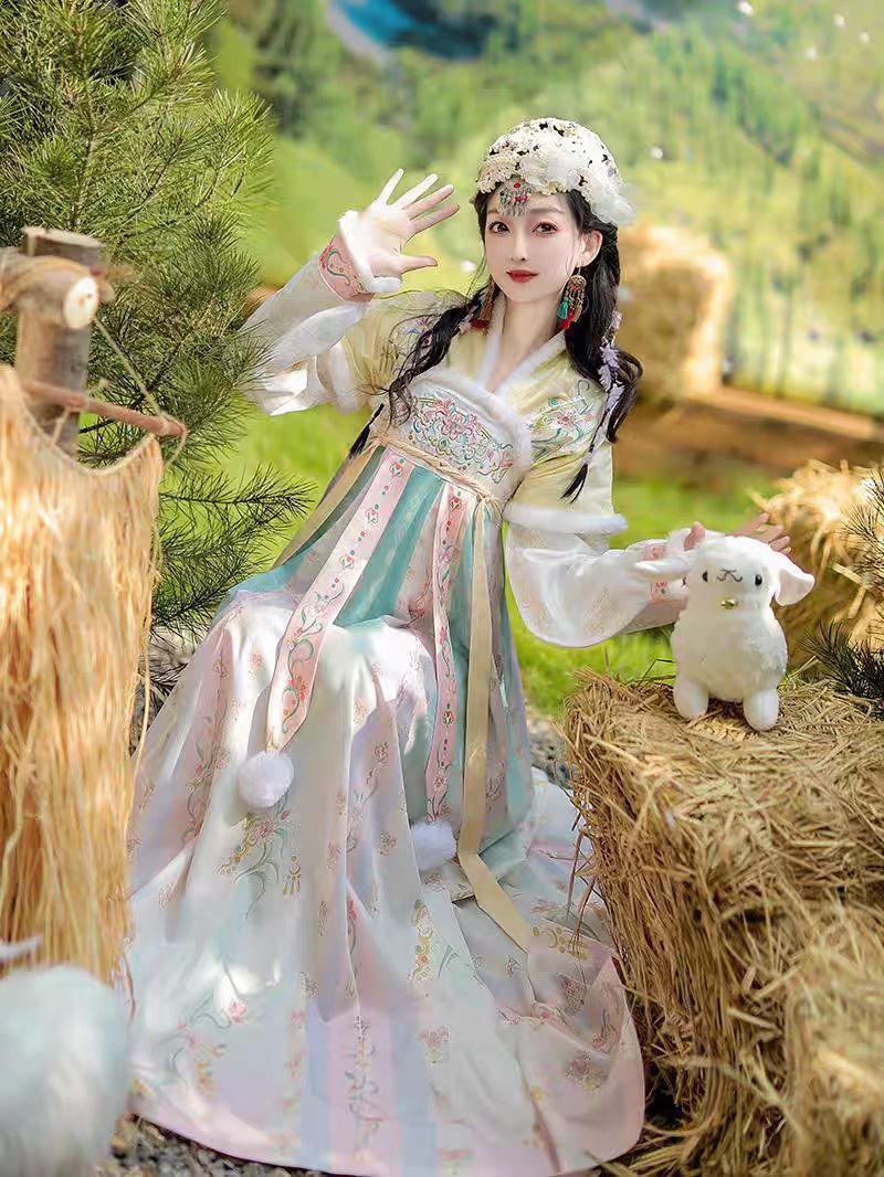 Women Tang Dynasty Winter Ruqun Set