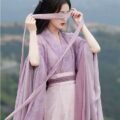 Wei-Jin Dynasty Style Traditional Women's Clothes