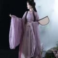 Wei-Jin Dynasty Style Traditional Women's Clothes