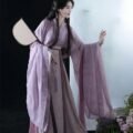 Wei-Jin Dynasty Style Traditional Women's Clothes