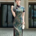 Short/Mid Sleeve Retro Chinese Dress